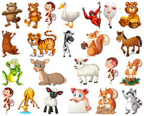 Fototapeta premium Set of animal cartoon character