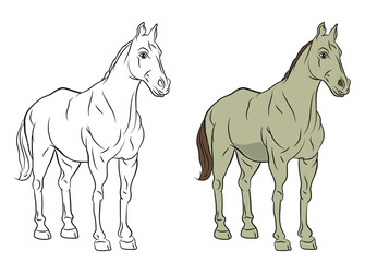
Animals. Black and white image of a horse, coloring book for children.
 Vector image.
Color image, design, background.