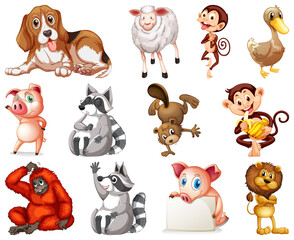 Set of animal cartoon character