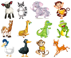 Set of animal cartoon character