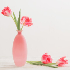 tulips in pink vase on white table