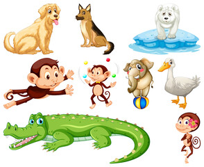 Obraz premium Set of animal cartoon character