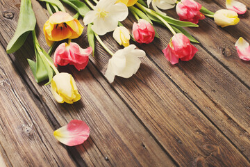 beautiful tulips on old dark wooden background