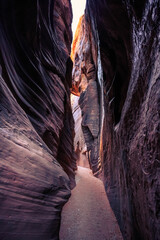 Buckskin Gulch Slot Canyon at Wire Pass Trail, Kanab, Utah