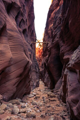 Displaced Ladder, Buckskin Gulch Slot Canyon at Wire Pass Trail, Kanab, Utah © Stephen