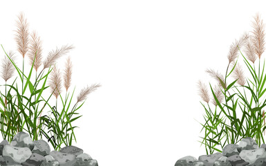 Cane silhouette on white background.Hand drawn reed or pampas grass surrounded by gray stones. - obrazy, fototapety, plakaty