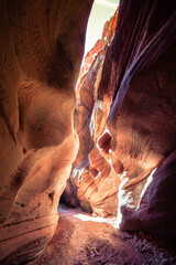 Buckskin Gulch Slot Canyon at Wire Pass Trail, Kanab, Utah