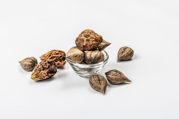 Ripe Juglans cordiformis Maxim or heart-shaped walnut isolated on white background