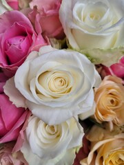 Bouquet of pink and white roses. Saint Valentine's day. Mother's day. Love and roses