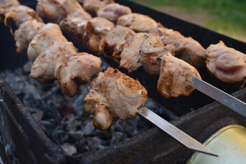 meat on the grill,fried kebabs on skewers, outdoor cooking