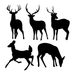 Isolated on a white background, a collection of deer vector silhouettes
