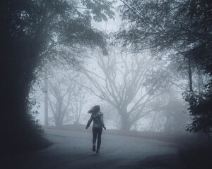 silhueta de mulher correndo entre árvores cobertas pela neblina