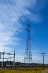 Paisajes de campos de trigo con tendido eléctrico.