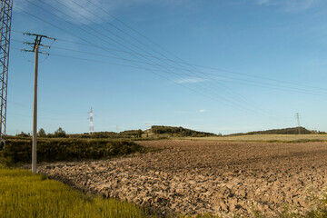 Obraz premium Paisajes de campos de trigo con tendido eléctrico.