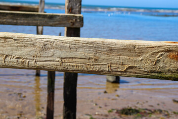 Fototapeta premium close up of old wooden pier on beach