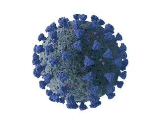 Fotobehang Close up of influenza A virus subtype H1N1. Cause of 2009 flu outbreak in humans, known as "swine influenza" or H1N1 influenza A (Monotone). © Ray