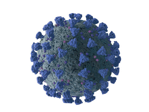 Close up of influenza A virus subtype H1N1. Cause of 2009 flu outbreak in humans, known as "swine influenza" or H1N1 influenza A (Monotone).