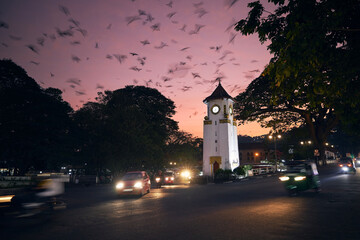 Flock of birds on sky above city at dusk. Traffic around clock tower on street in Kandy, Sri Lanka..