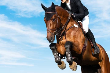 Fensteraufkleber Equestrian Sports photo themed: Horse jumping with blue sky background, Show Jumping, Equestrian Sports, Horse riding, © Pratiwi