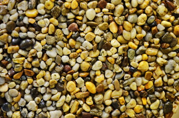 Small stone texture for background. High quality photo