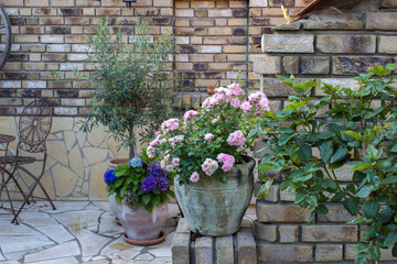 beautiful place in the garden in the mediterranean style, pots with flowers