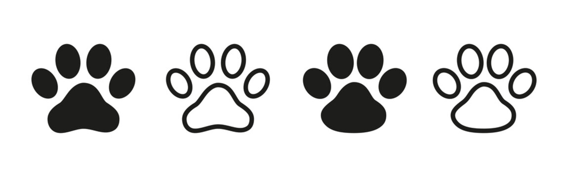 Animal paw icon vector