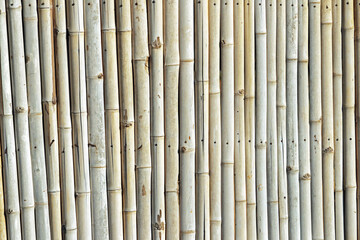 The bamboo wall background