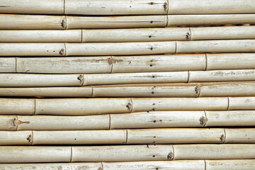 The bamboo wall background
