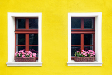 Fototapeta na wymiar Windows with flower box. Italian architecture background. Vibrant color yellow wall facade. Small town house exterior. Street of European city building.