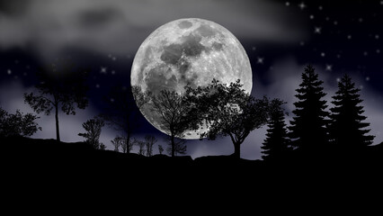 Fototapeta na wymiar moon, tree and starry sky