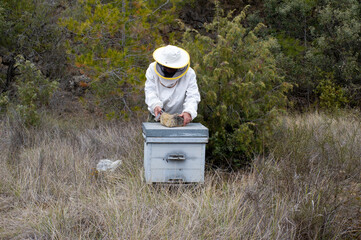 Apicultor cerrando colmena