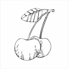 Cherry black and white vector illustration. For all your designs and decors. Suitable for making patterns, postcards, labels, packaging, covers and more.