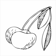Cherry black and white vector illustration. For all your designs and decors. Suitable for making patterns, postcards, labels, packaging, covers and more.