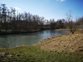 the river in the forest