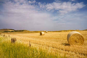 Fototapeta premium Country landscape near Matera and Gravina di Puglia