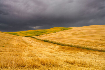 Country landscape in Basilicata, Italy, at summer