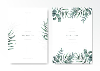 Watercolor green eucalyptus background template vector design set