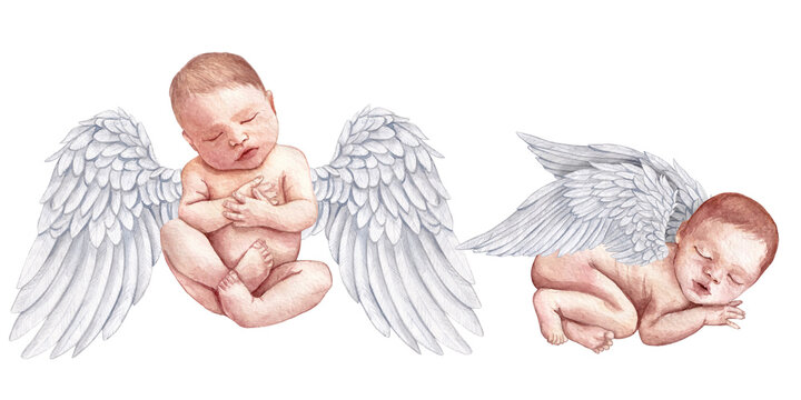 watercolor newborn babies angels with wings