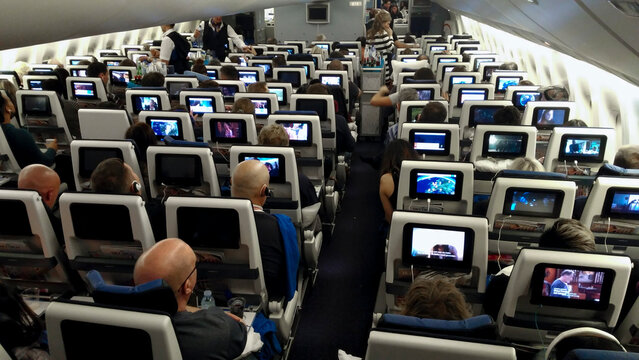 Pasajeros en avi&oacute;n