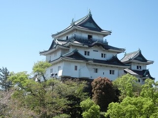 The donjon of Wakayama-jyo Castle in Wakayama City in Wakayama Pref. in Japan 日本の和歌山県和歌山市にある和歌山城の天守閣