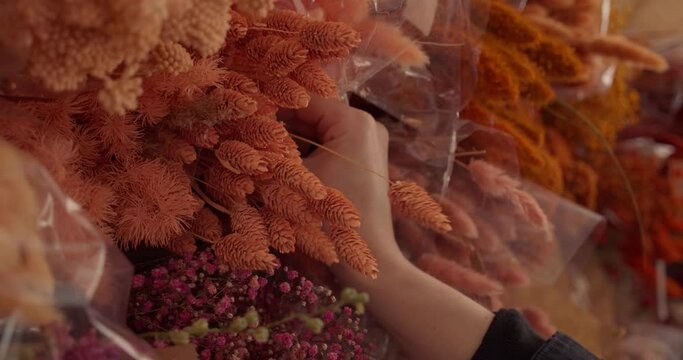 Florist at work in shop, arranging bouquets of orange flowers on wall