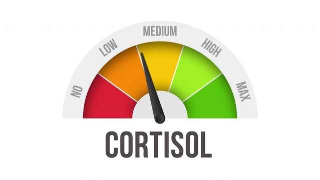 cortisol Level Measuring Device. 4K motion animation.