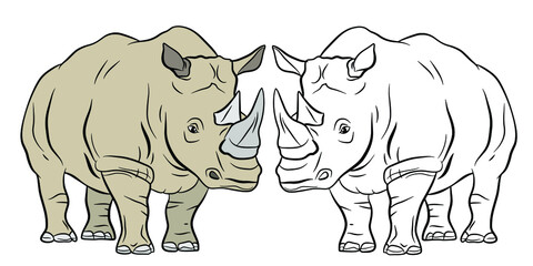 In the animal world. Coloring book for children, big and terrible rhino.
 Vector image. Color drawing, background, design.