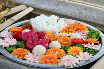 神社の花手水
