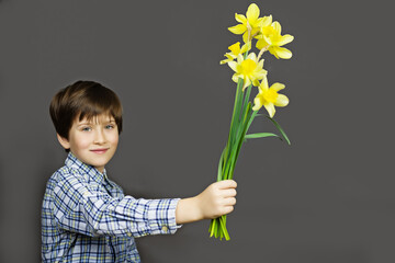 boy with flowers, Narcissus - a bouquet of flowers in a hand, Yellow daffodil on gray background