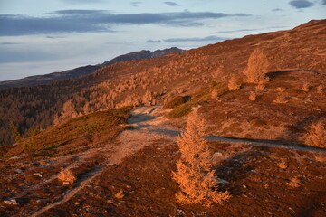Sonnenuntergang, Alpen, Herbst, Abend, Abendstimmung, Sonne, Feuerball, rot, gelb, orange, Herbststimmung, Abendrot, Dämmerung, Licht, Schatten, Sonnenstrahl, Sonnenstrahlen, Baum, Bäum, Silhouette, L
