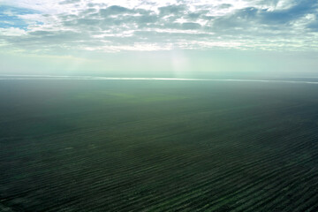 steppe plain landscape lake in the middle of fields