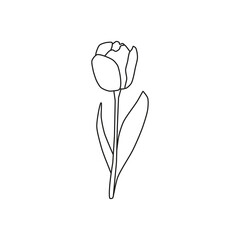 Hand drawn outline spring tulip.