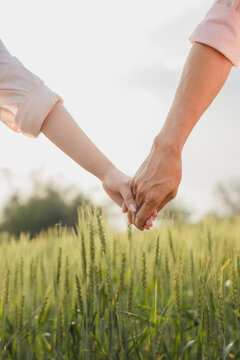 couple holding hands in a green field at sunset