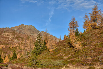 Sonnenuntergang, Alpen, Herbst, Abend, Abendstimmung, Sonne, Feuerball, rot, gelb, orange, Herbststimmung, Abendrot, Dämmerung, Licht, Schatten, Sonnenstrahl, Sonnenstrahlen, Baum, Bäum, Silhouette, L